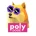 PolyDogeLOGO