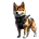 SHIBAILOGO